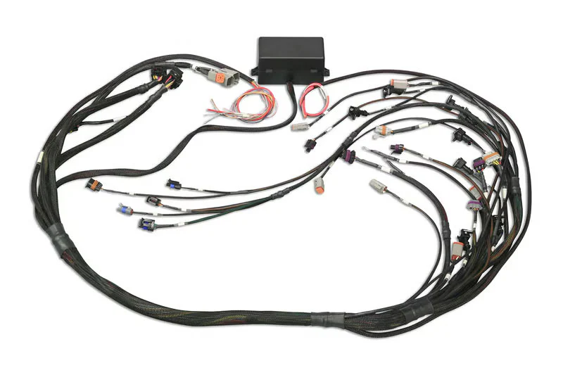 Elite 2000/2500 GM GEN III LS1 & LS6 non DBW Terminated Harness - Image 4